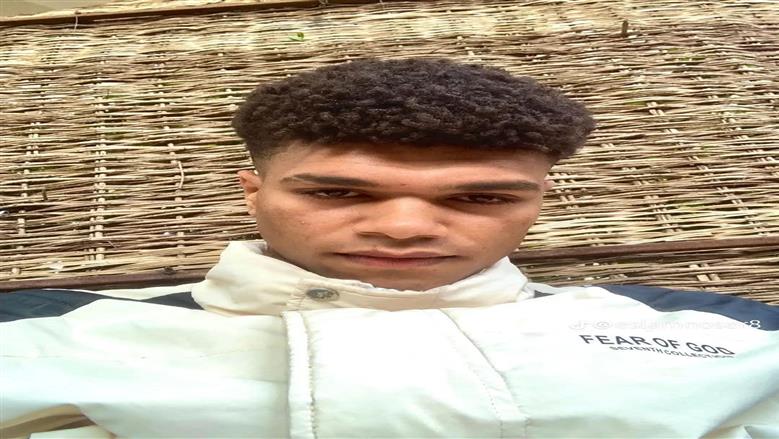 المنوفية