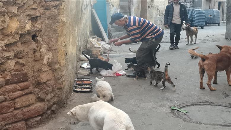 عاطف الطيب