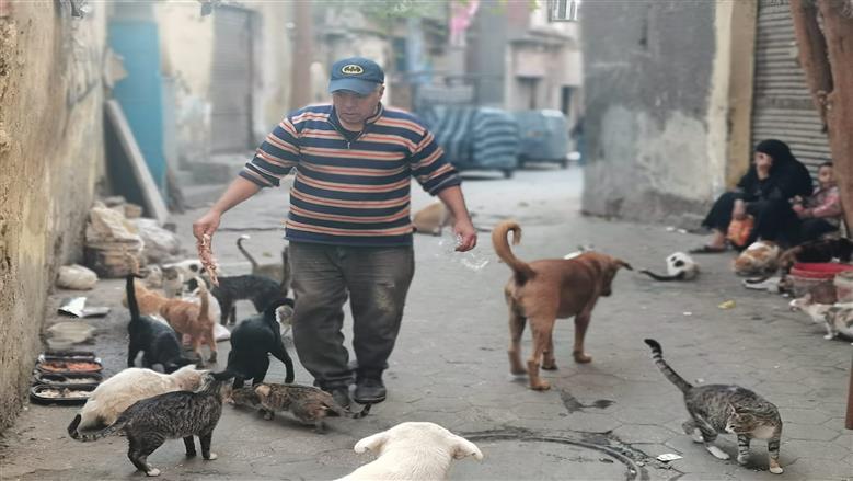 عاطف الطيب