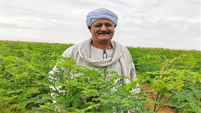 محافظة أسوان 