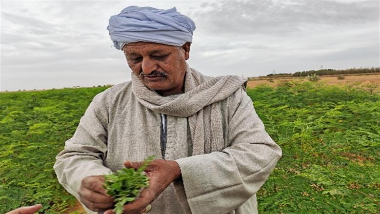 محافظة أسوان 