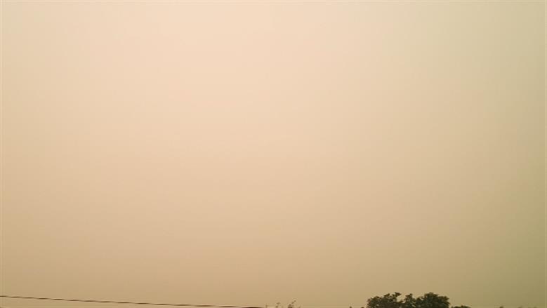 محافظة أسوان