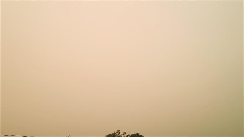 محافظة أسوان