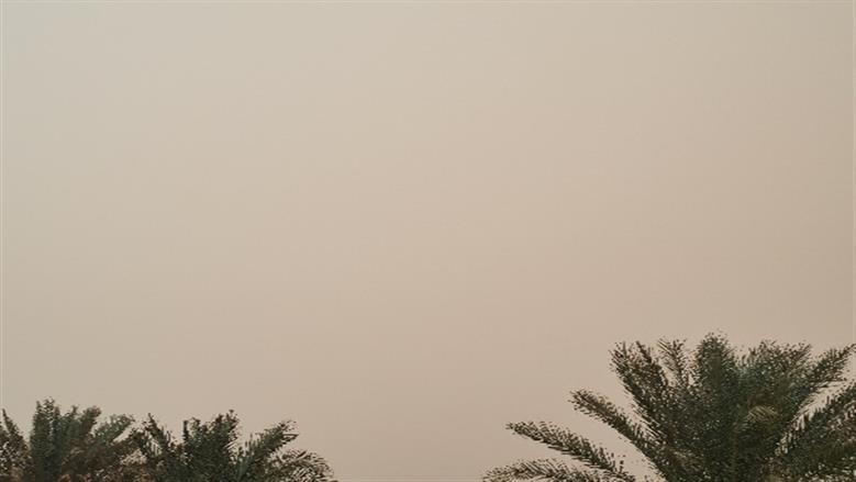 محافظة أسوان