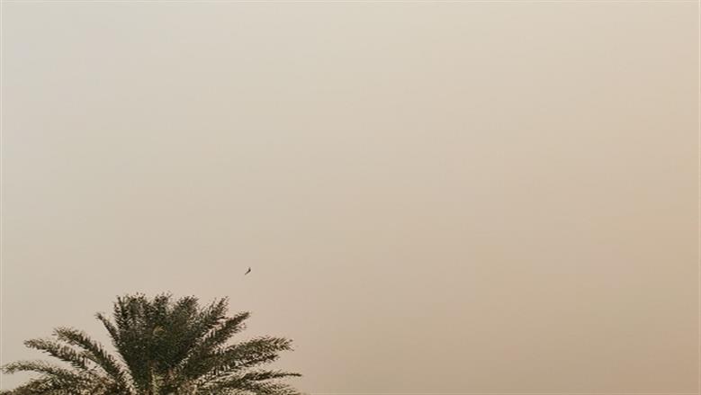 محافظة أسوان