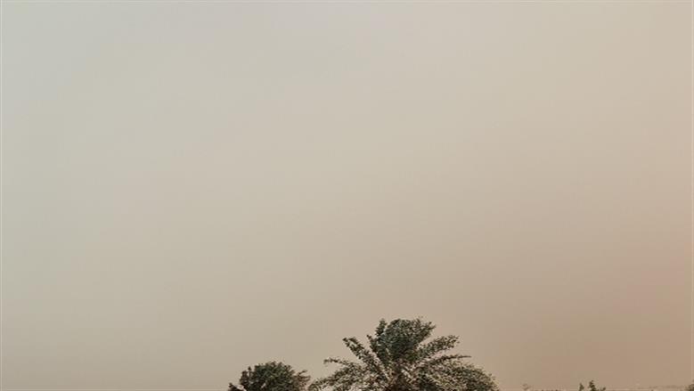 محافظة أسوان