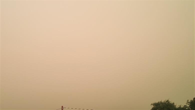 محافظة أسوان