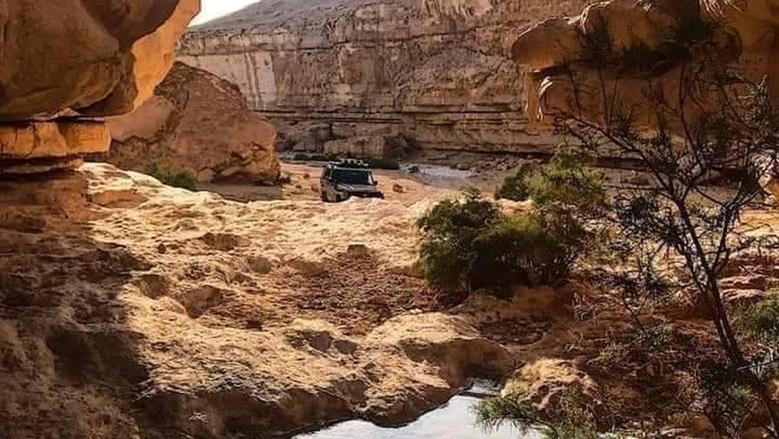 حي المعادي يحتفى بمحمية وادي دجلة: مقصدمميز لهواة السفاري