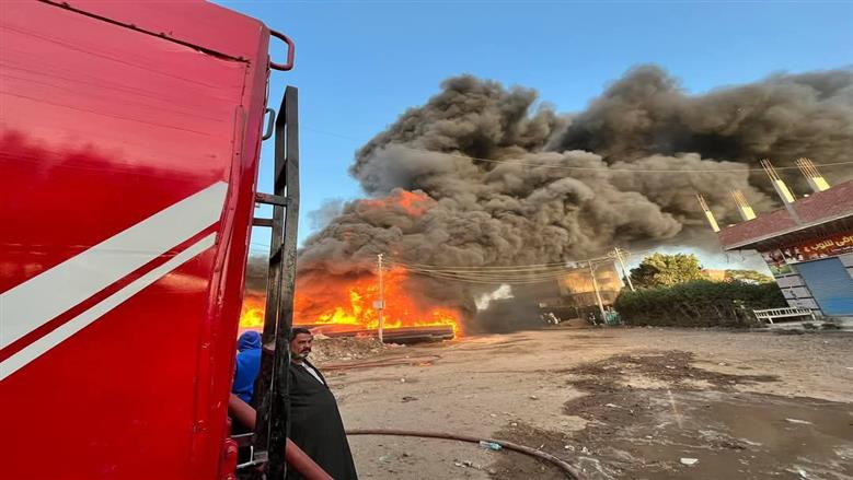 المنوفية