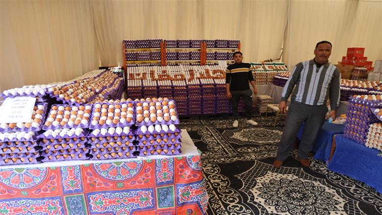 المنوفية 