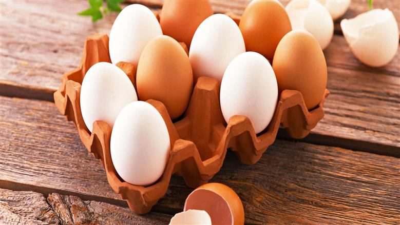 سعر كرتونة البيض في أسواق الجملة والقطاعي اليوم الخميس 21-2-2026 
