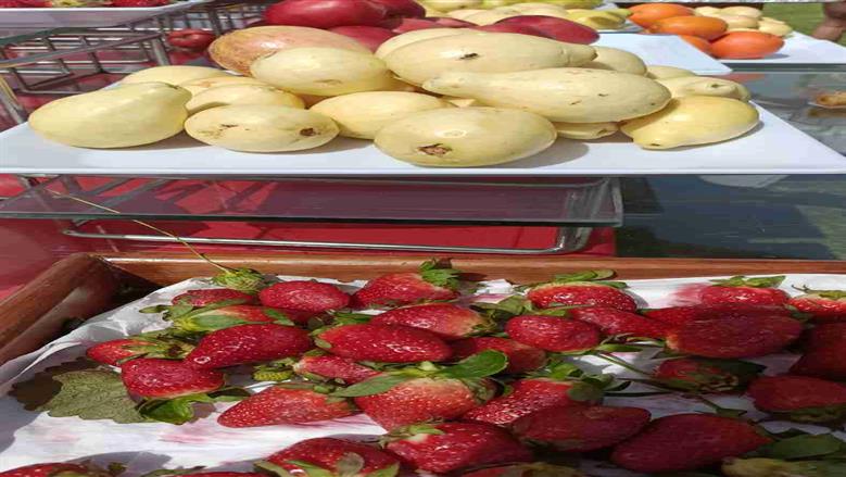 عيد الحب بالغردقة 