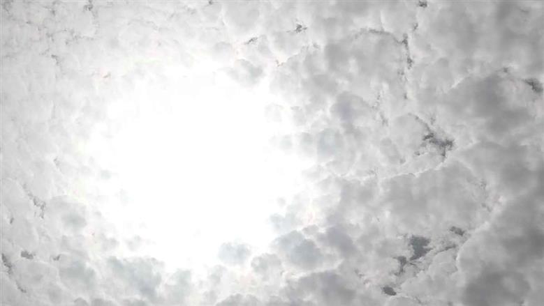 عاجل غيوم كثيفة ورياح تضرب محافظة أسيوط الآن احتمالية نشاط رياح مثيرة للرمال و الأتربة(صور )