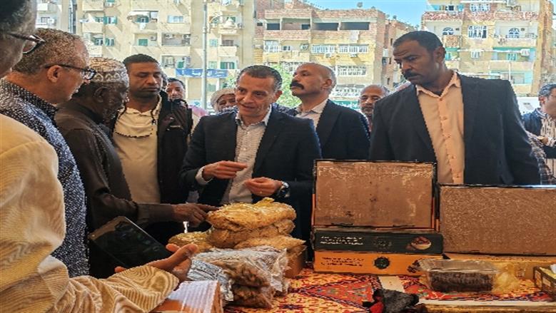 محافظة أسوان 