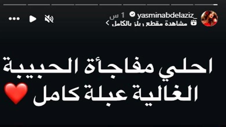ياسمين عبد العزيز 