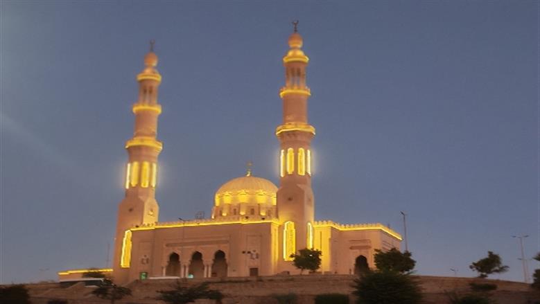 شيماء طه