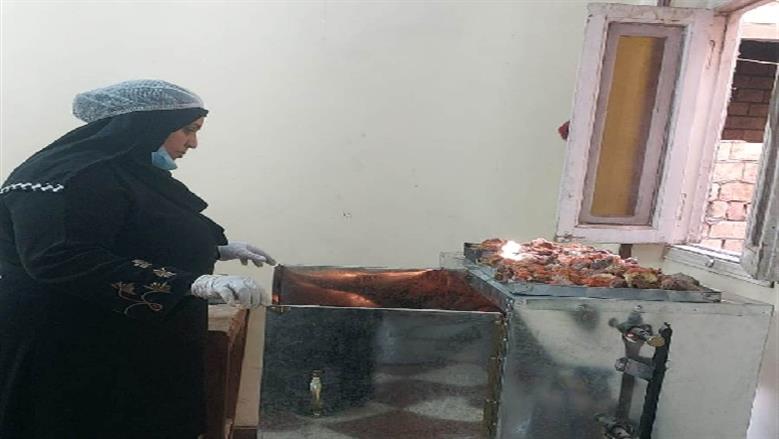 محافظة أسوان 