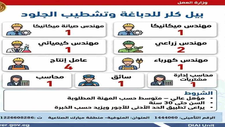 المنوفية 