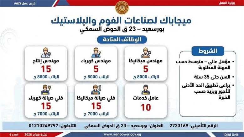 وظائف وزارة العمل ببورسعيد 