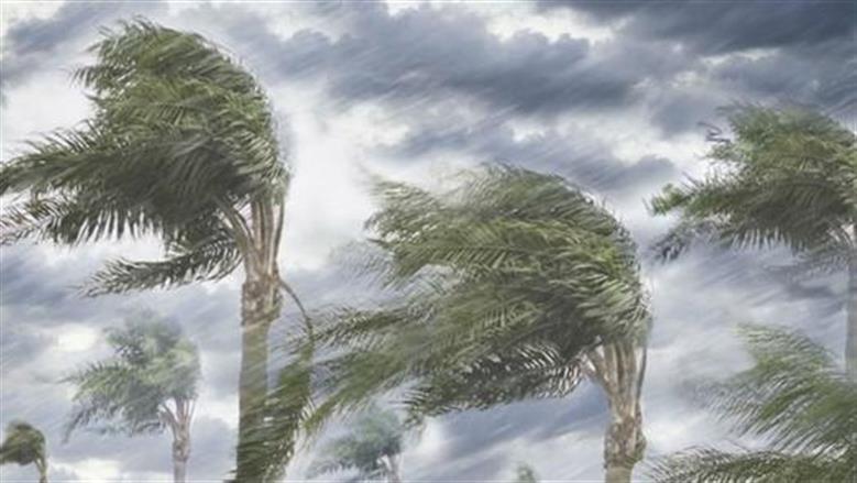 طقس الإسكندرية غدا
