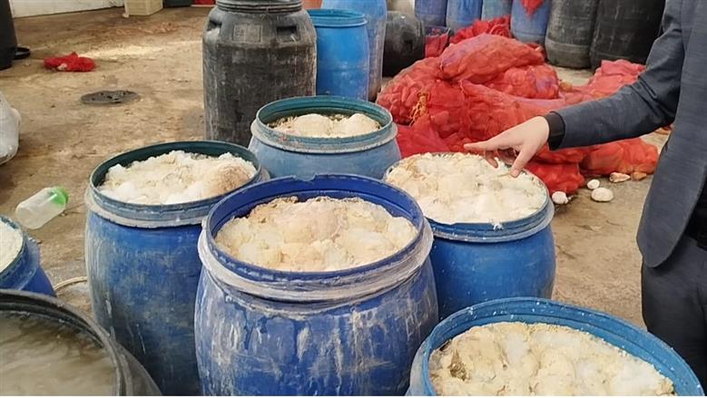 ضبط 12 طن مخللات فاسدة بمنشأة صناعية مخالفة في المنوفية