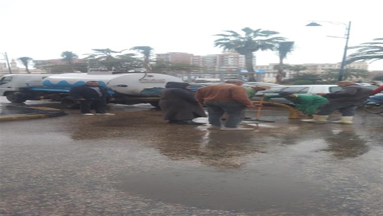 المنوفية