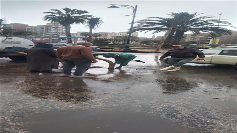 المنوفية