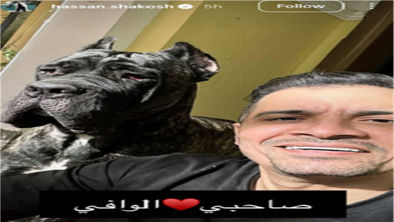 حسن شاكوش