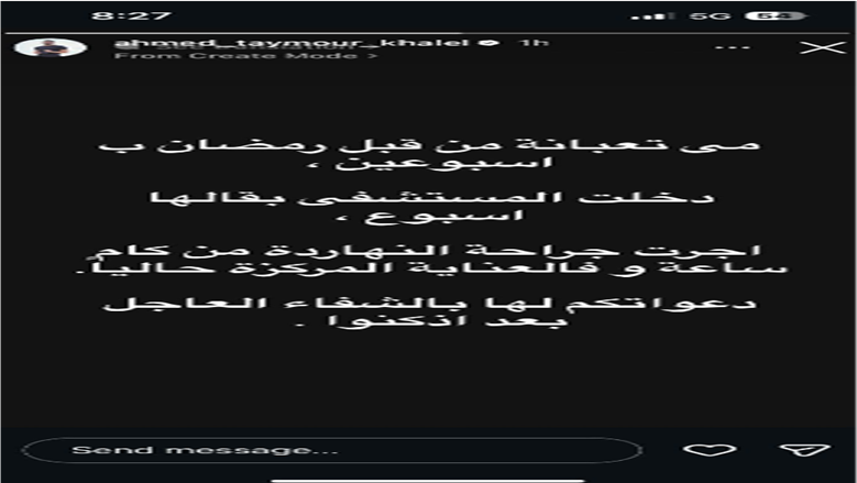 مي عز الدين