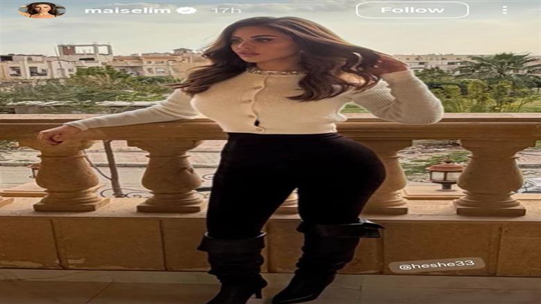 مي سليم