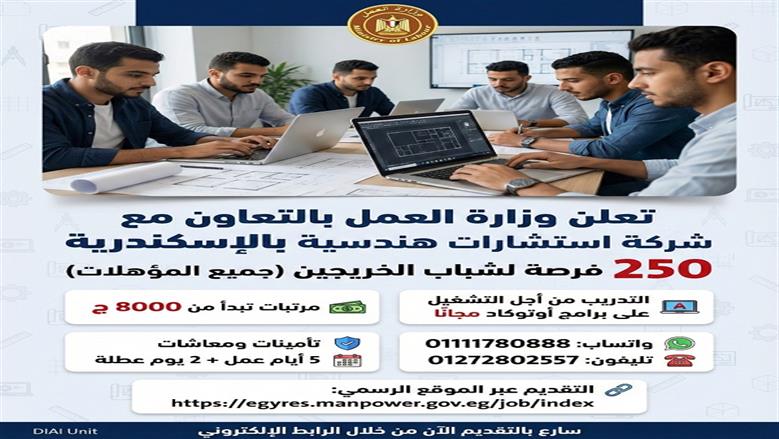 فرص عمل وتدريب