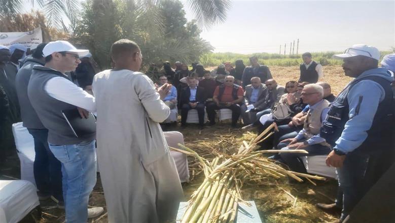 محافظة أسوان