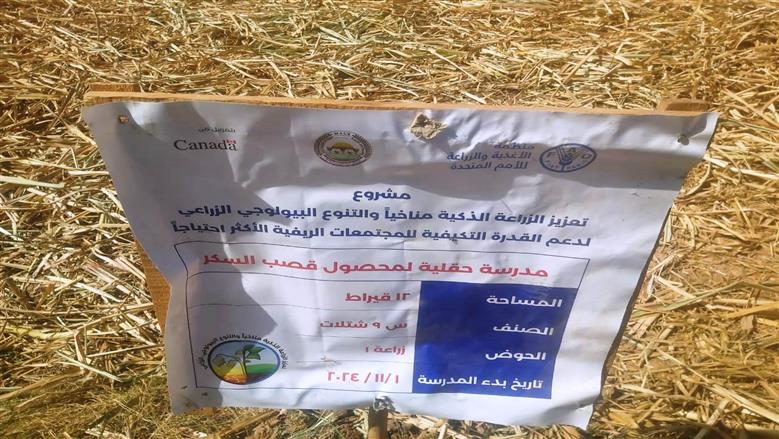محافظة أسوان