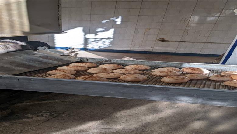 المنوفية 