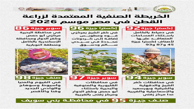 القطن