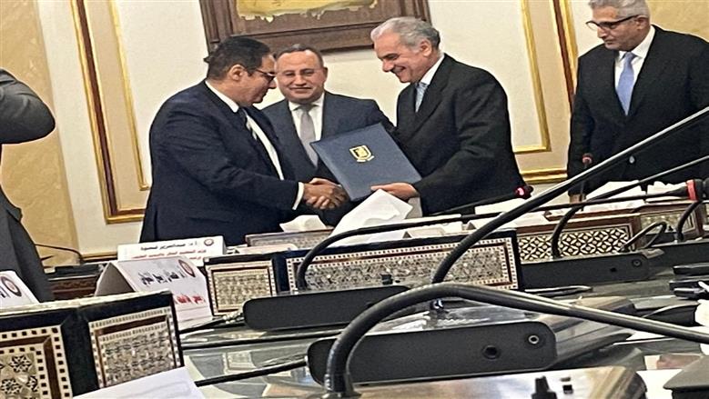 جامعة أسوان
