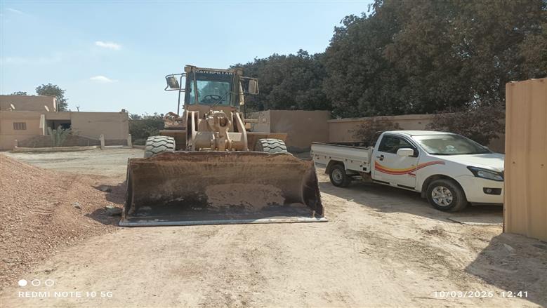 المنوفية
