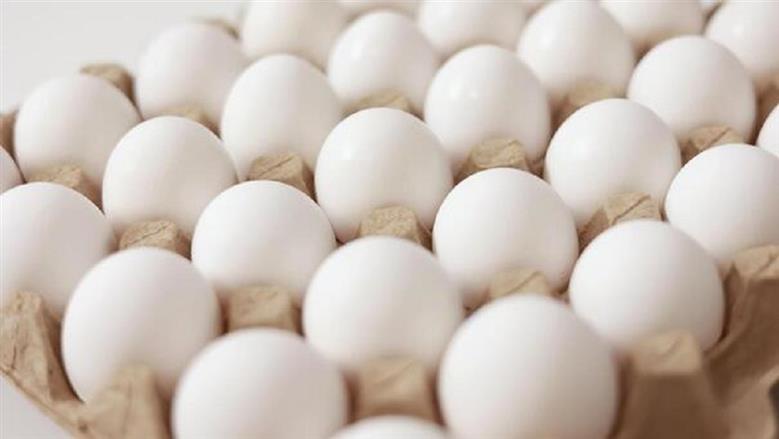 اسعار البيض