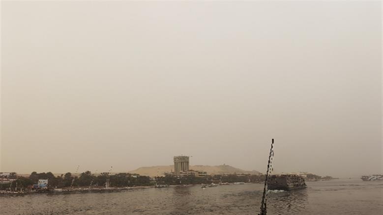 شيماء طه