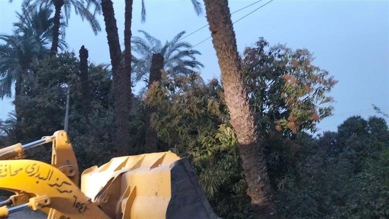 رئيس مركز البداري  يوجه بسرعة إزالة الأشجار المتساقطة وفتح الطرق بعد العاصفة بطريق اسيوط البداري الزراعي 
