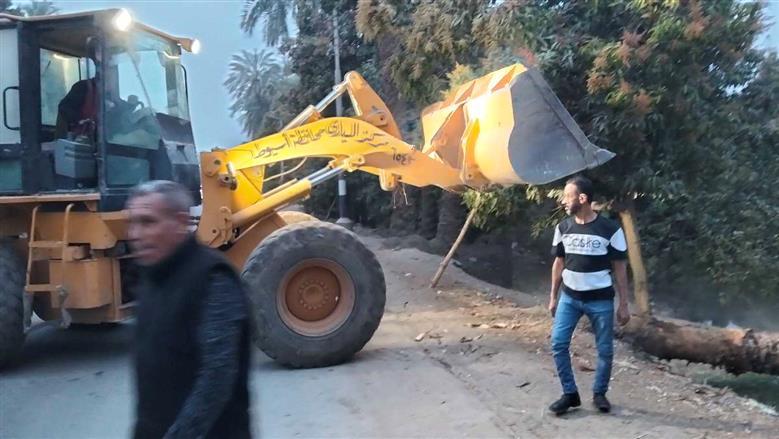 رئيس مركز البداري  يوجه بسرعة إزالة الأشجار المتساقطة وفتح الطرق بعد العاصفة بطريق اسيوط البداري الزراعي 