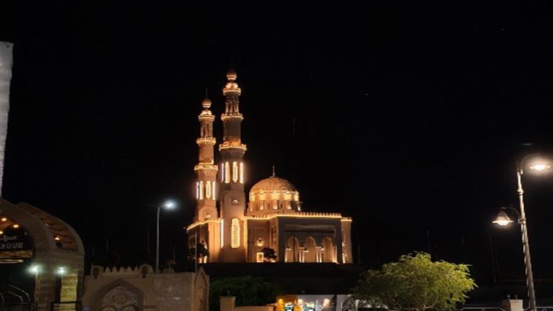 شيماء طه