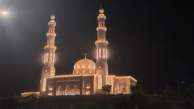 شيماء طه