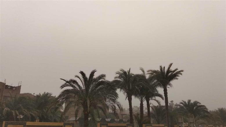 نشاط للرياح وعاصفة ترابية تضرب أسيوط بشكل مفاجئ