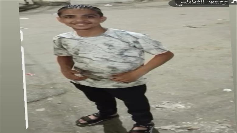 المنوفية