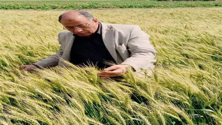 أعمال المديريات في بورسعيد 