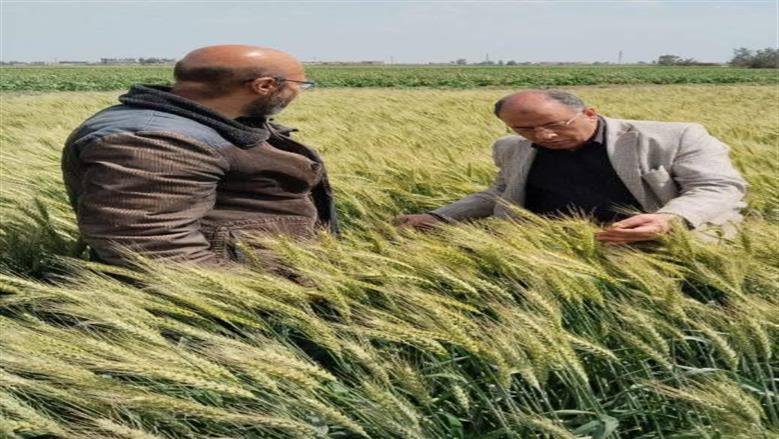 أعمال المديريات في بورسعيد