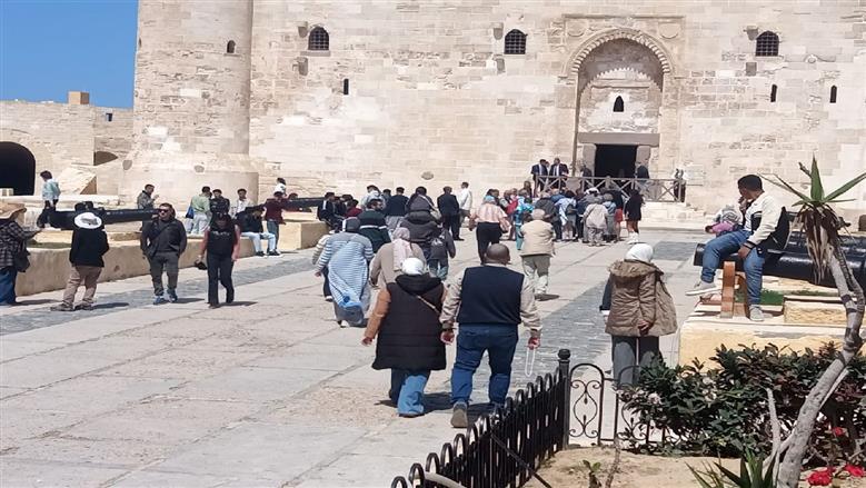 إقبال على قلعة قايتباي في الإسكندرية 