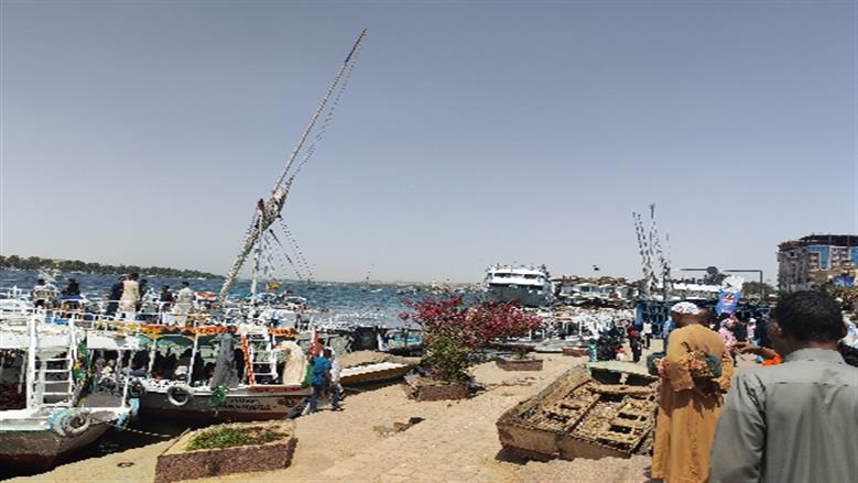 شيماء طه 