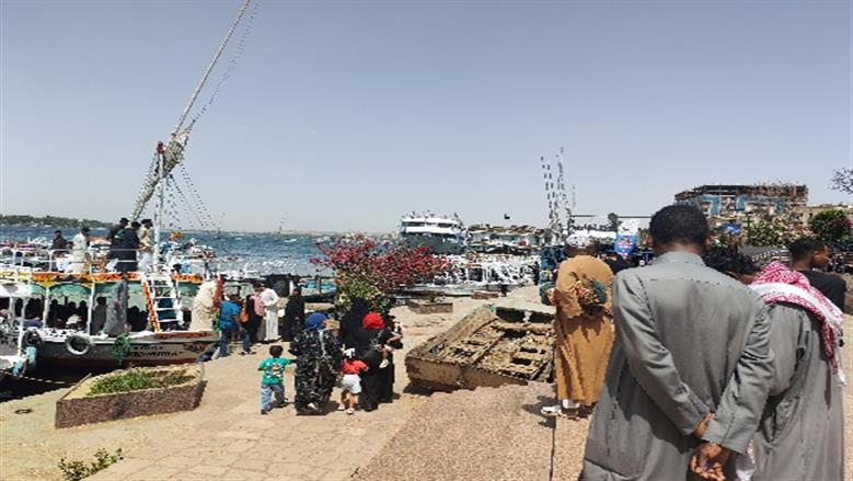 شيماء طه 